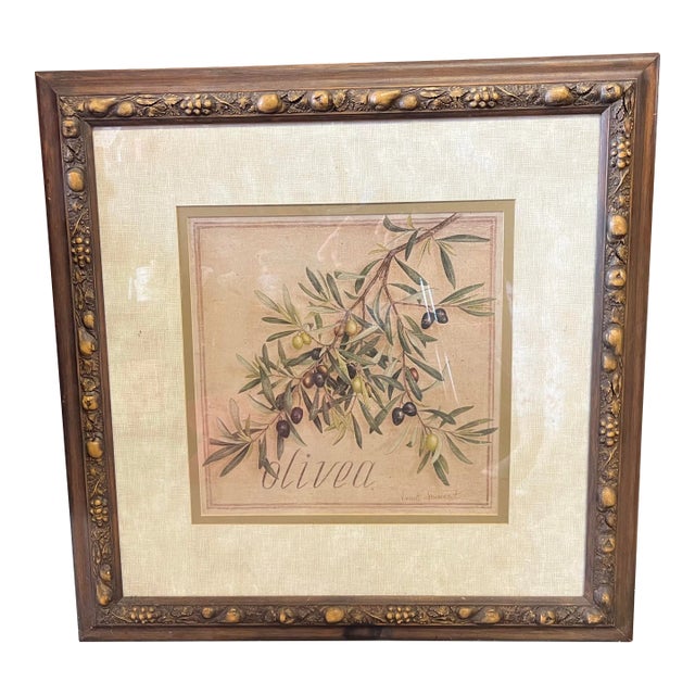 Vintage Framed Olive Branch Watercolor by French Artist Vincent Jeannerot For Sale