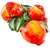 2020s Vintage-Style Italian Majolica Pomegranate Wall Plaques by Bassano Del Grappa Ceramiche - Pair For Sale - Image 5 of 15