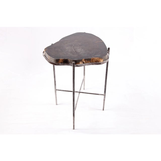 The top of this modern accent side table is made of one slice of organic petrified wood, hand polished to show its...
