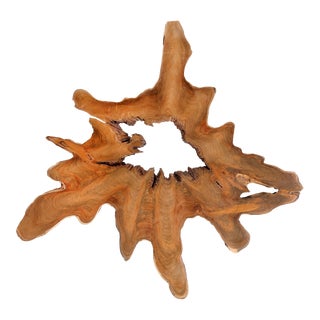 Organic Teak Root Sculpture Wall Art 14 For Sale