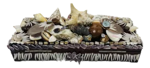 Vintage Shell Box