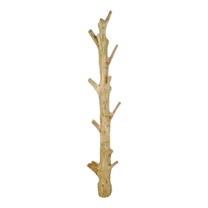 Natural Tree Wall Hook