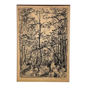 1928 Charcoal on Paper Drawing of a Wooded Landscape by Artist Harold Haydon