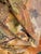 Brown Antique Circa 1890 French Tapestry 6'6 X 7'3 For Sale - Image 8 of 10