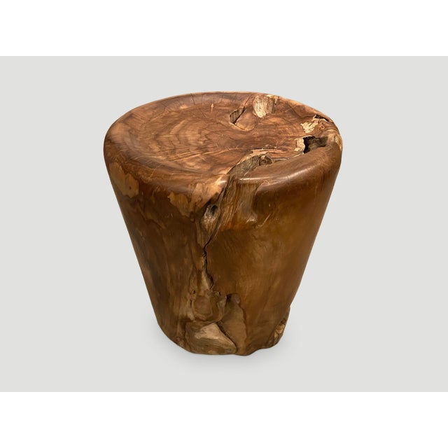Andrianna Shamaris Organic Natural Teak Wood Tray Side Table For Sale - Image 16 of 18
