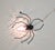 Metal Mid-Century Modern Wall Lamp in Metal and Murano Glass Depicting a Spider, Italy, 1950s For Sale - Image 7 of 17