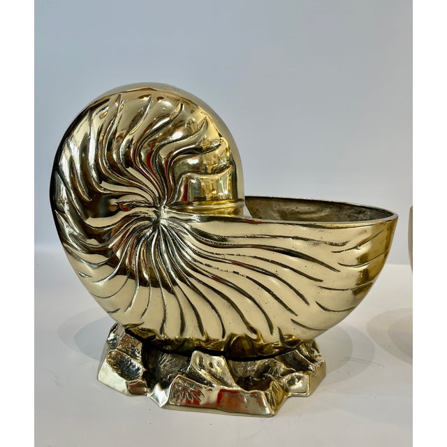 Pair of Large Solid Brass Nautilus Shell Bottle Coolers or Planters For Sale - Image 4 of 11