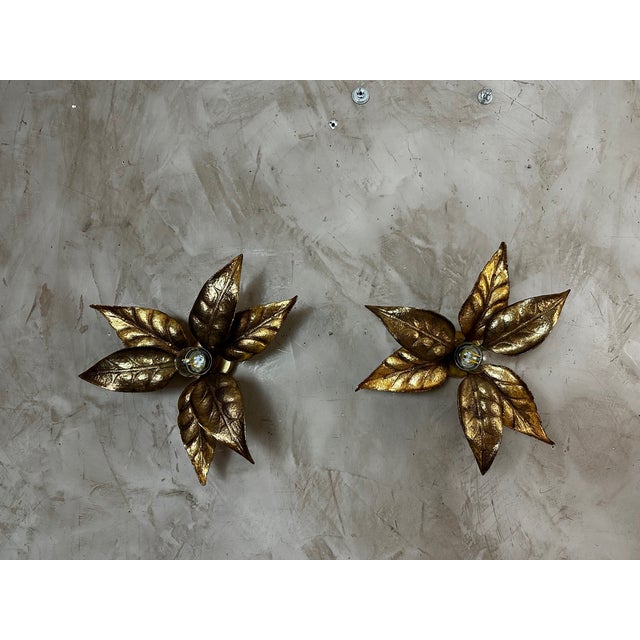 Wall Lights attributed to Willy Daro, 1970s, Set of 2 For Sale - Image 14 of 14