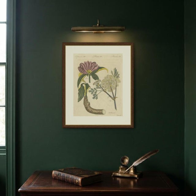 Bertuch, Galbanum and Hungarian Gentian, 1805, Print For Sale - Image 10 of 12