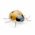 Ladybug Sculpture by Mambo Unlimited Ideas For Sale - Image 16 of 16