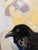 This lovely and expressive painting depicts a Raven sitting on a nest made up of chunks of color and lines of all sorts....