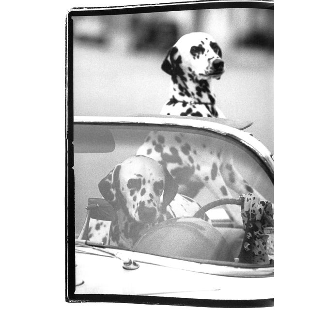 "Grace: Thirty Years of Fashion at Vogue" 2002 Coddington, Grace For Sale - Image 9 of 11