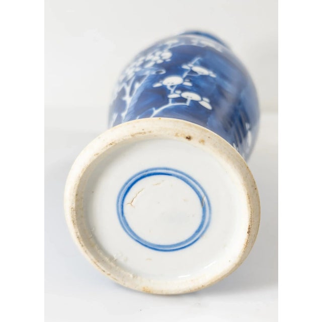 19th or 20th Century Chinese Blue and White Prunus Vase For Sale - Image 10 of 13