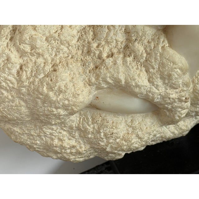 Alabaster Vintage Peggy Mach Mid-Century Modern Reclining Female Nude Sculpture, Circa 1970 For Sale - Image 8 of 12