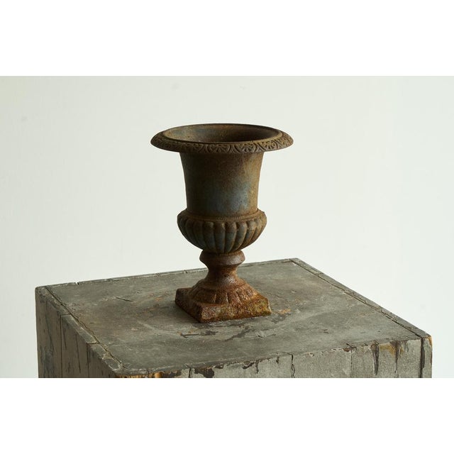 Antique Neoclassical Cast Iron Planter, 1890s For Sale - Image 10 of 14