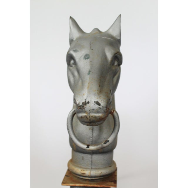 Silver Pair of Vintage Cast Iron Horse Head Andirons For Sale - Image 8 of 13