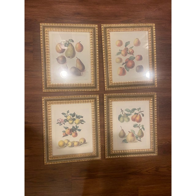 Beautiful Set of 4 Prints in wood frames with gilt and sage green. Very light distressing on the frames but it was...