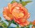 Arose by Gemma Di Grazia | Oil on Artefex ACM panel Painting of a large orange rose blossom For Sale
