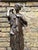 19th century statue of a bronze Roman goddess. Signed gift from Musee du Louvre. H 23 in. x Dm 9.8 in. H 58.42 cm x Dm...