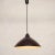 Hanging Lamp by Lisa Johansson-Pape for Stockmann Orno For Sale - Image 6 of 6