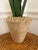 American Tommy Mitchell Tole Potted Hyacinth. For Sale - Image 3 of 12