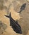 Fossil Fish Mural 4062gm For Sale - Image 4 of 5