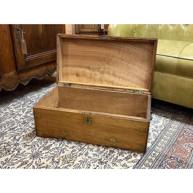 Early 20th Century Camphor Wood Chest For Sale - Image 13 of 14