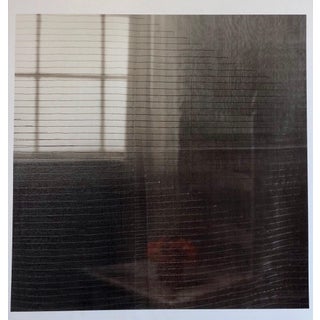 Peter C. Jones 1, Gray Afternoon, Large Format Flower Photo 24X20 Color Photograph Beach House, 2005 For Sale