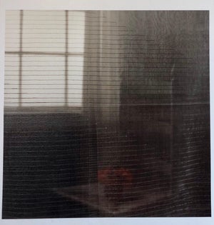 Peter C. Jones 1, Gray Afternoon, Large Format Flower Photo 24X20 Color Photograph Beach House, 2005