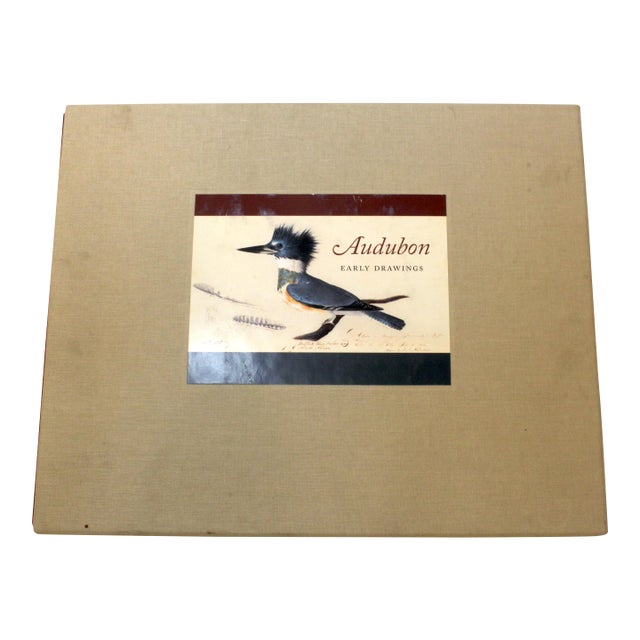 A Flight of 3 Elegant Bird Books – Audubon, Fuentes, Peterson –Oversized Illustrated Ornithology Editions For Sale