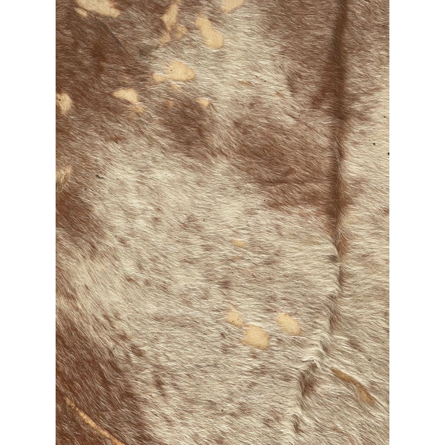 Animal Skin Mid 20th Century Texas Horn Cowhide Low Chair For Sale - Image 7 of 8