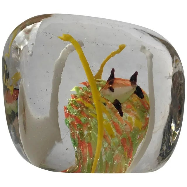 Italian Orange Gold Art Glass Fish Sculpture from Cenedese For Sale - Image 11 of 11