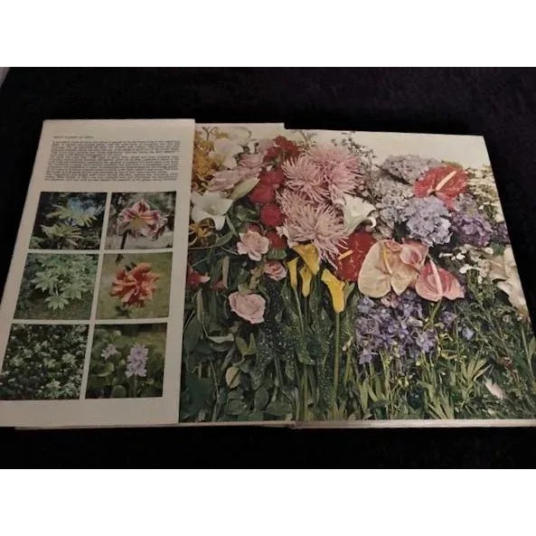 American 1971 What Flower Is That? Book By Stirling Macoboy For Sale - Image 3 of 9