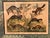 Set of Nine Gotthilf Von Schubert Natural History Chromolithographs For Sale - Image 10 of 17