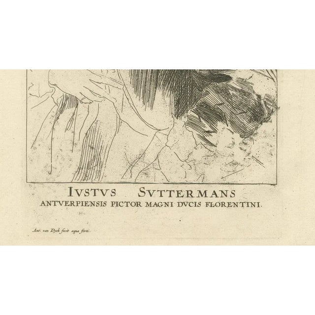 After van Dyck, Portrait of Justus Sustermans, Flemish Painter to the Grand Duke of Florence, Print For Sale - Image 4 of 10