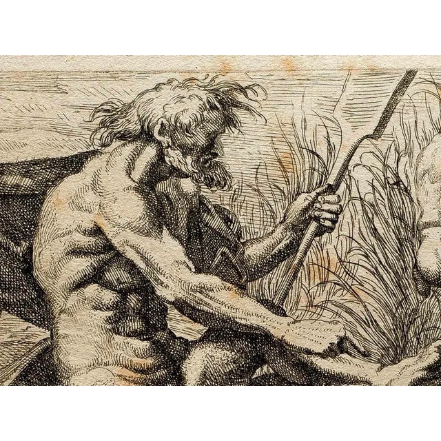 Marcantonio Bellavia, Man and Satyrs, Etching, 17th Century For Sale - Image 3 of 5