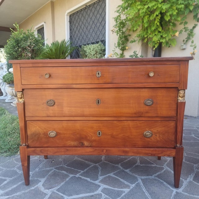 Return from Egypt Cherrywood Chests of Drawers, 1820, Set of 2 For Sale - Image 10 of 13