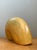Vintage Abstract Wood Nautilus Shell Sculpture For Sale - Image 12 of 12
