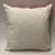 Stunning silk velvet pillow will give any room a splash of color. Pillow insert not included.