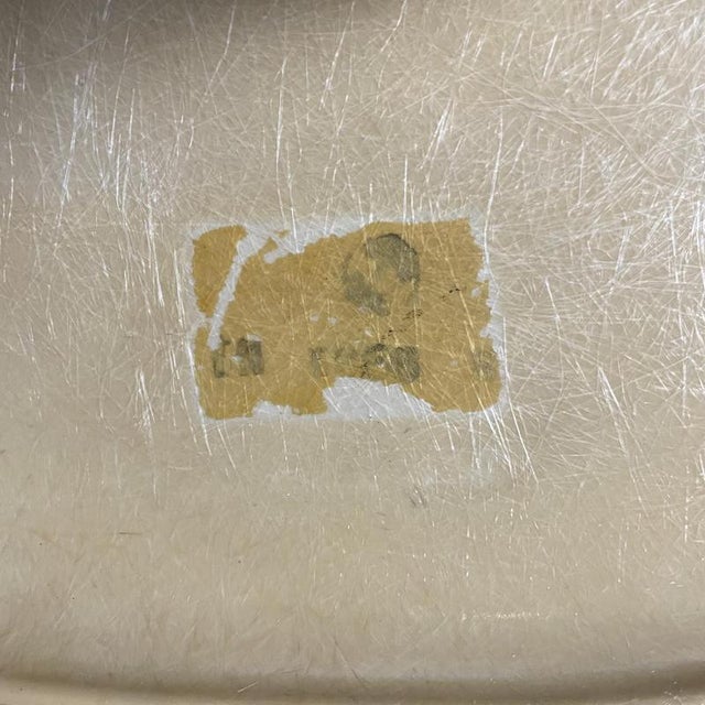 DSW Side Chairs in Parchment, Navy Blue, Light Olive and Light Ochre by Eames for Herman Miller, 1960s, Set of 4 For Sale - Image 13 of 17