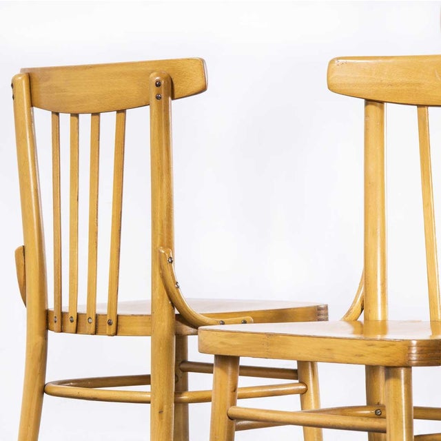 Bentwood Dining Chairs from TON, 1960s, Set of 4 For Sale - Image 12 of 14