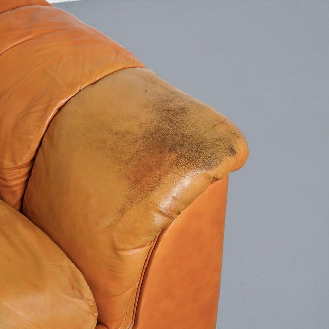 Cocker Leather Sofa by Franco Bresciani for Poltrona Frau, 1970s For Sale - Image 13 of 16