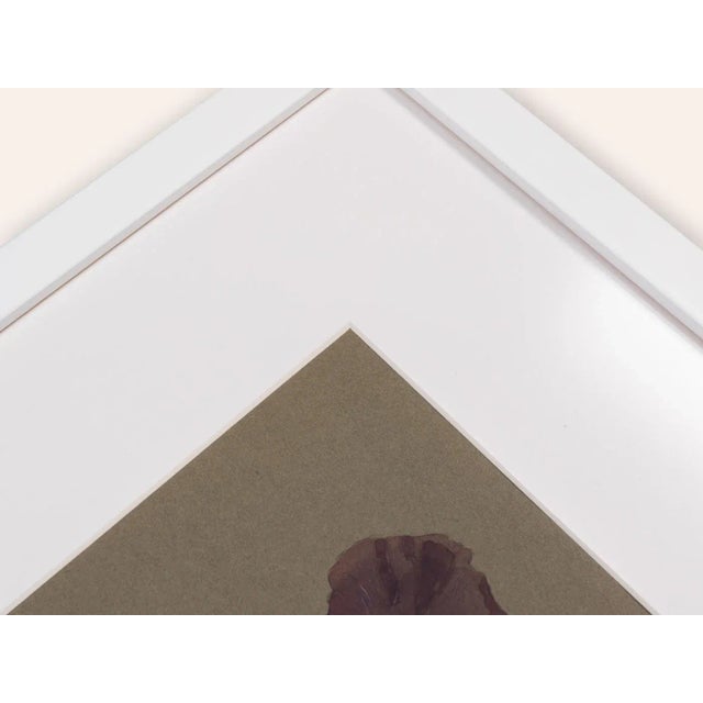 Werner Oberdörffer, Poppy, Watercolor on Paper, Framed For Sale - Image 6 of 8