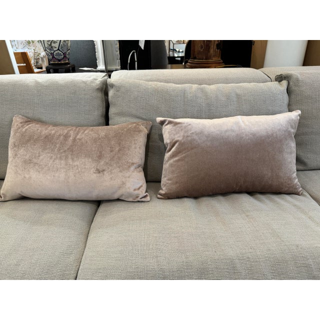 Williams-Sonoma Taupe Lumbar Pillows, Pair For Sale - Image 10 of 12