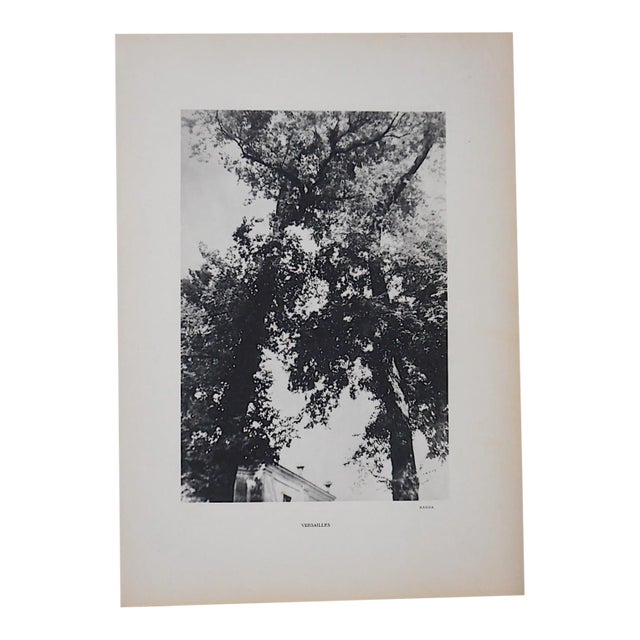Vintage Heliogravure Photo By Brassai-Verve-Paris-1939 For Sale