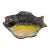 A English Majolica Fish Shaped Serving Dish, Circa 1880's For Sale