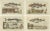 Fish Prints, 1832, Paper, Set of 4 For Sale - Image 6 of 6
