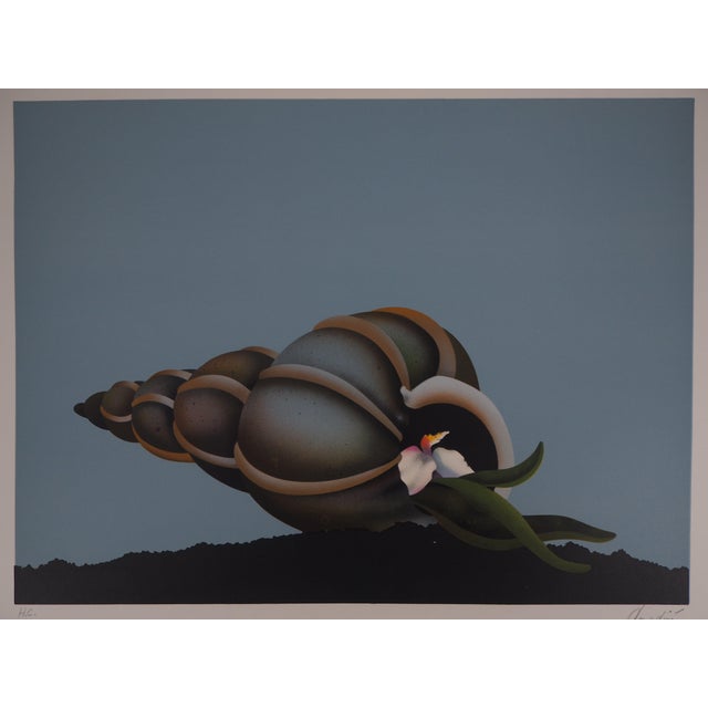Jean-Paul Donadini, Le repos marin, Lithograph For Sale - Image 4 of 7