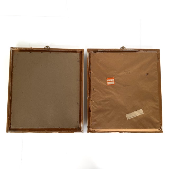 Wood Vintage Pair of Rudolf Freund Bird Study Botanical Prints in Custom Shadow Box Frames For Sale - Image 7 of 11