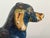 Antique Iron Dachshund Doorstop by Taylor Cook 1930 For Sale - Image 10 of 12